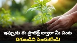 Soil Helath Card Scheme