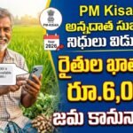 PM Kisan And Annadatha Sukhibhava