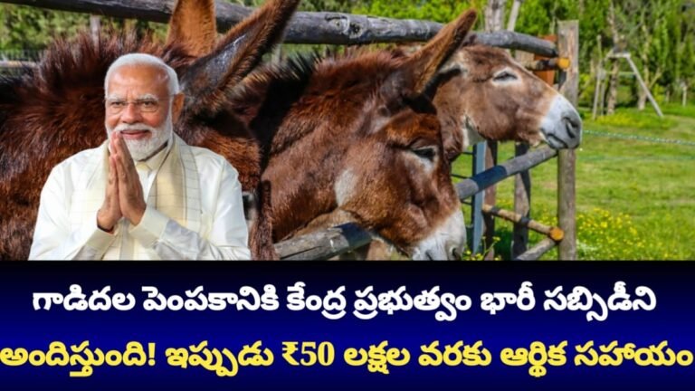 Donkey Farming Subsidy Scheme