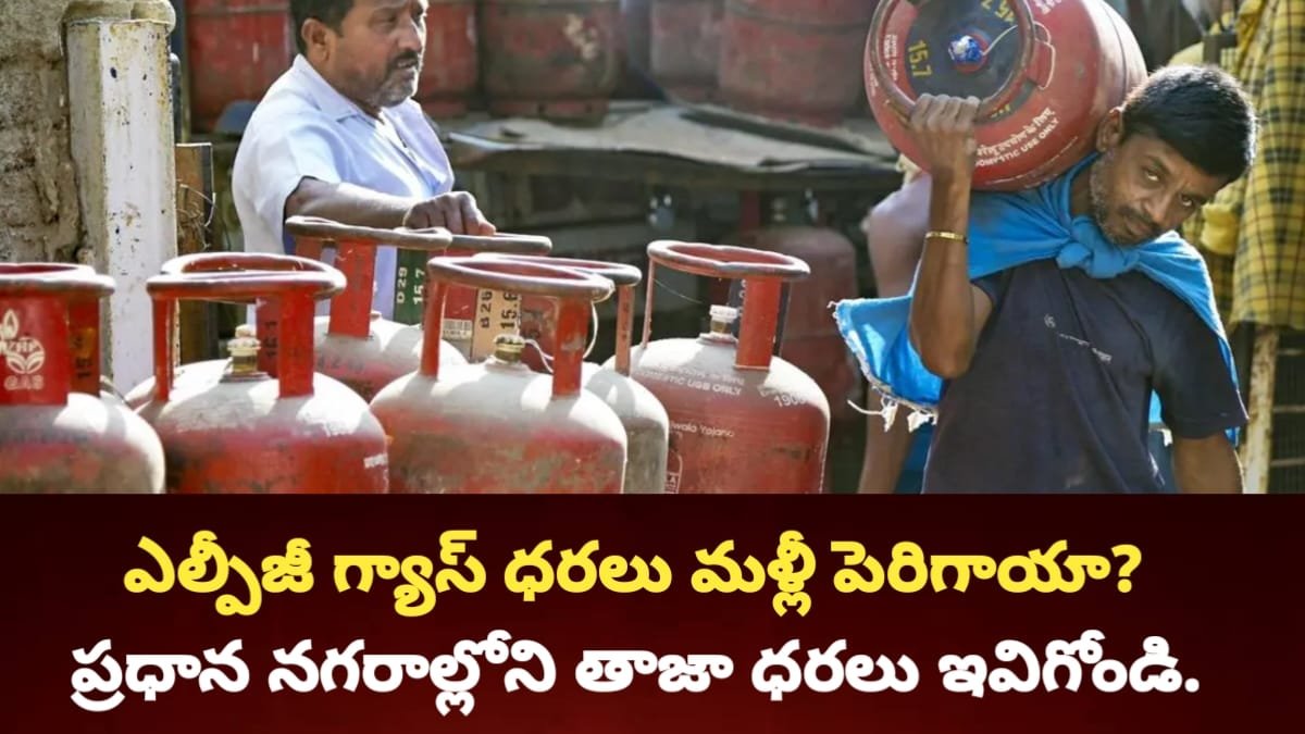LPG Cylinder Price Update
