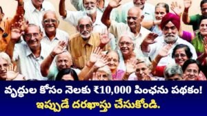 New Pension Scheme 2025